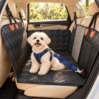 Bichon maltais sur la housse de banquette, attaché par la ceinture de sécurité bleue