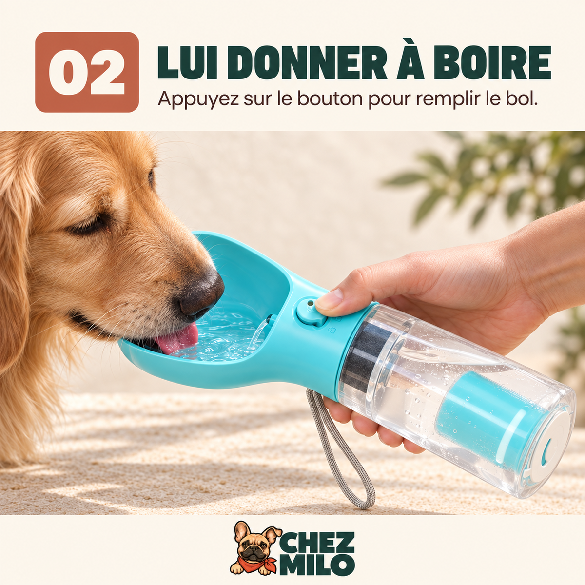 Étape 2 : appuyer sur le bouton pour remplir le bol intégré et donner à boire au chien.