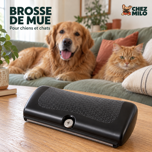Brosse de Mue Chez Milo, pour chiens et chats