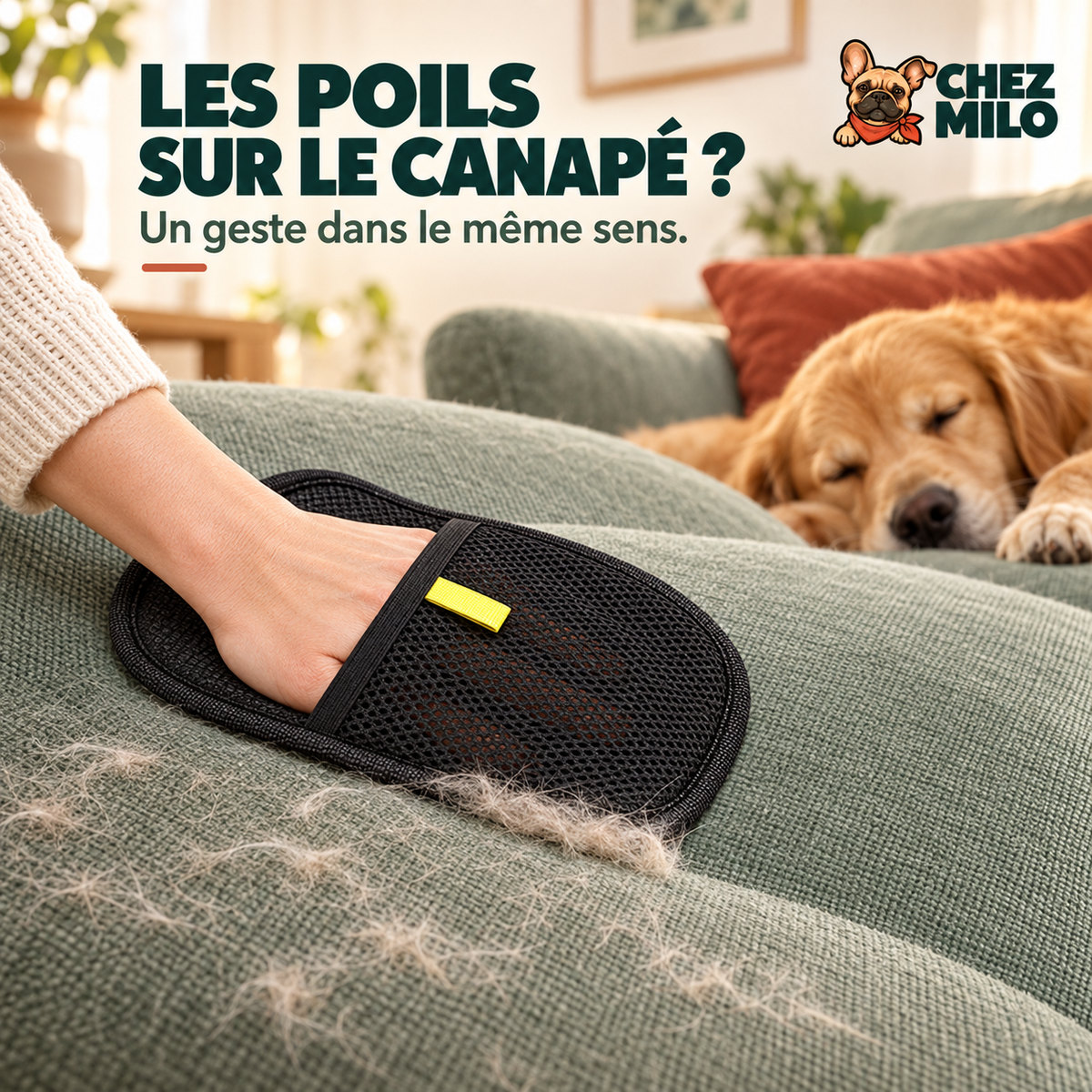 Le gant passé sur un canapé en tissu, un chien endormi à côté