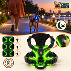 Harnais LED en balade du soir et ses 3 modes : fixe, clignotement lent et rapide