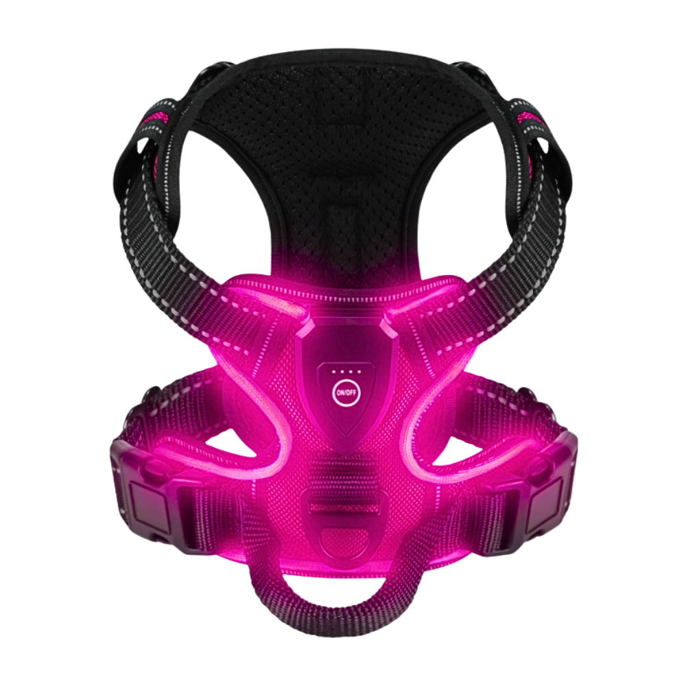 Harnais lumineux LED Chez Milo, lumière rose