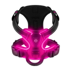 Harnais lumineux LED Chez Milo, lumière rose