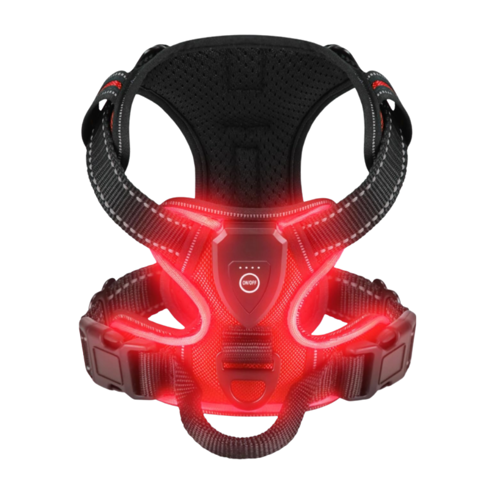 Harnais lumineux LED Chez Milo, lumière rouge
