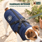 Harnais intégré : la laisse se clipse directement à l’anneau du dos