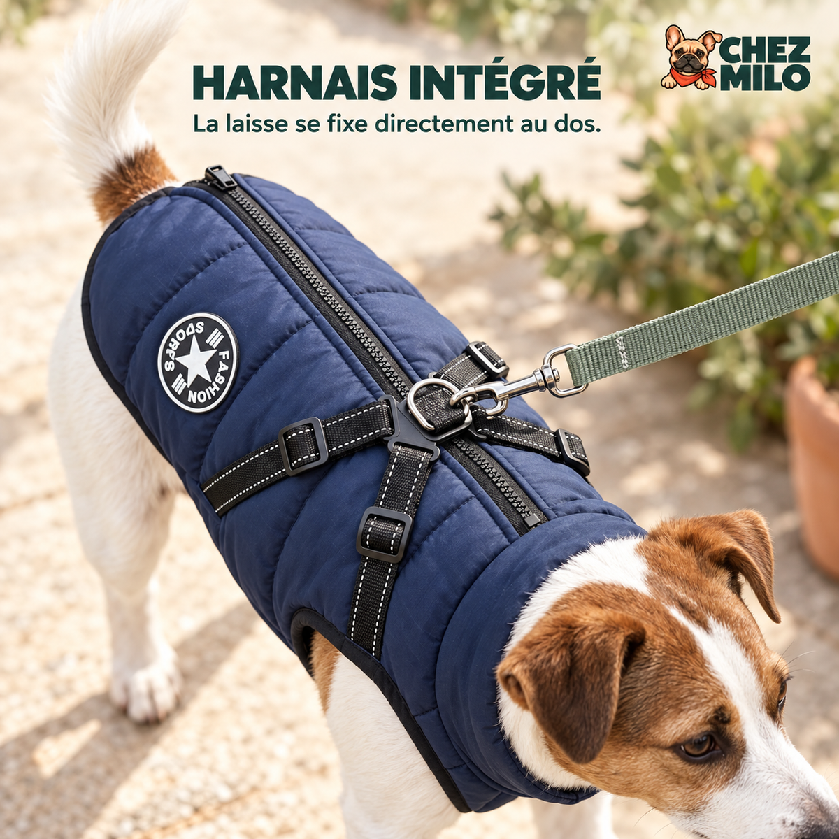 Harnais intégré : la laisse se clipse directement à l’anneau du dos
