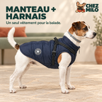 Manteau à harnais intégré bleu marine porté par un Jack Russell, vue de profil