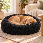 Golden retriever endormi en boule dans le panier donut noir
