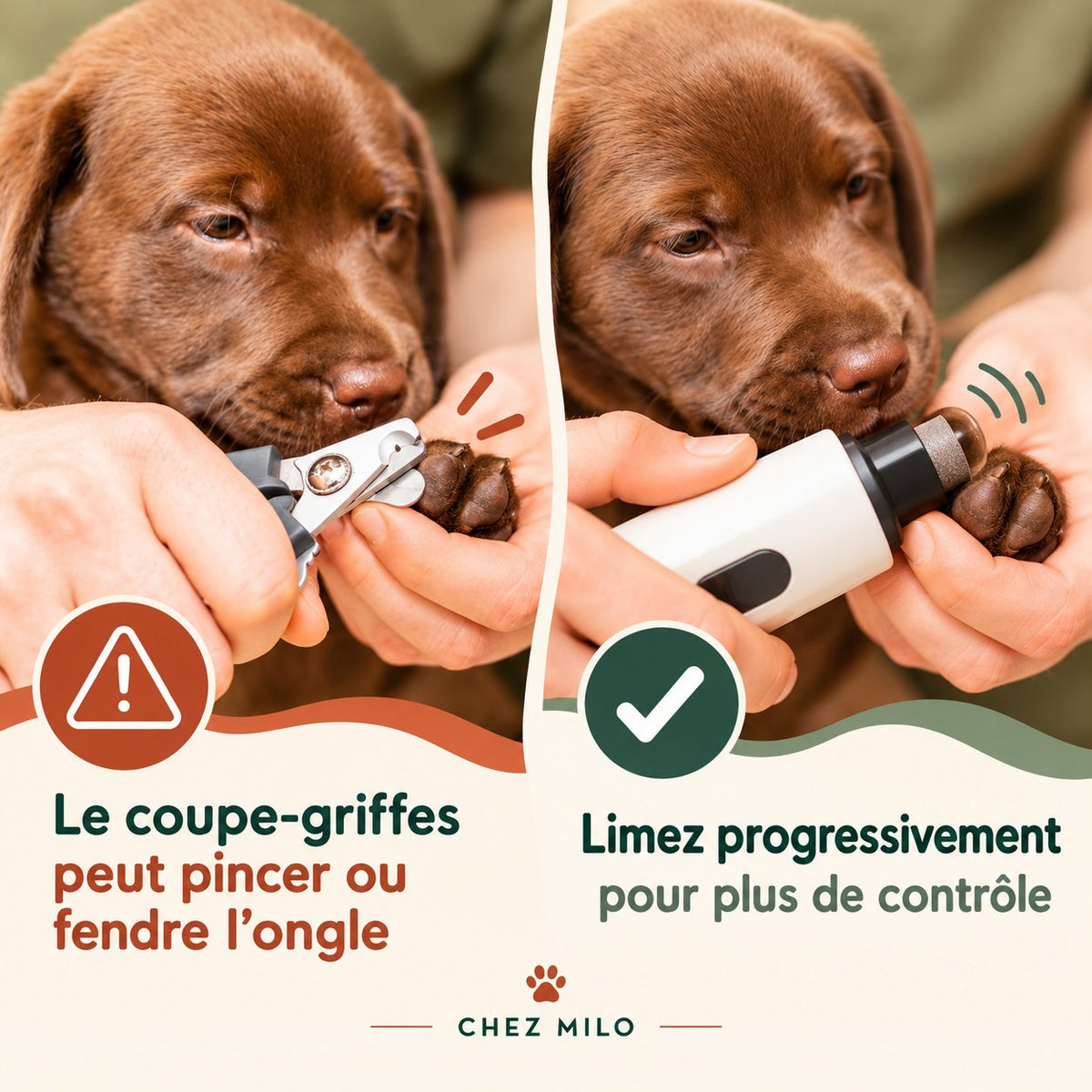 Coupe-griffes qui pince la griffe, comparé à la ponceuse qui lime progressivement