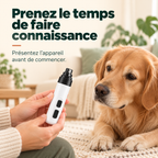 Présentez la ponceuse à votre chien avant de commencer
