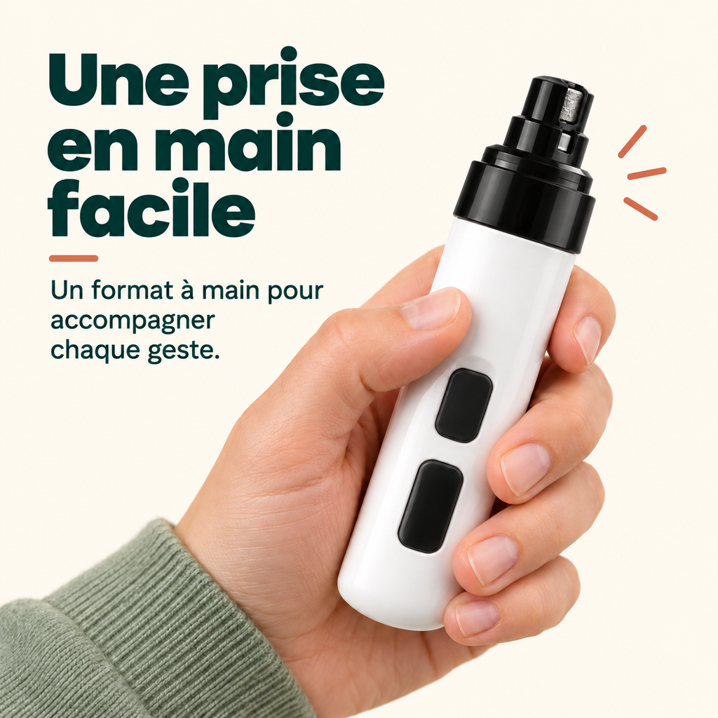 Une prise en main facile, format à main