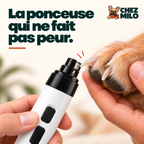 La ponceuse qui ne fait pas peur : ponceuse Chez Milo contre la griffe d’un chien