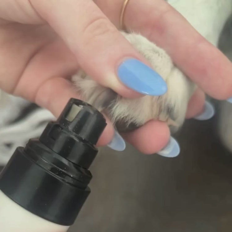 VIDÉO PROVISOIRE 2 : ponceuse en action