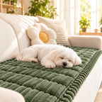 Bichon maltais endormi sur le protège-canapé matelassé vert sapin