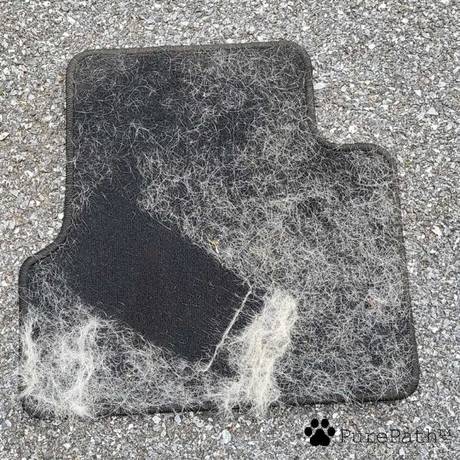 [Photo provisoire] Poils de chien ramassés sur un canapé